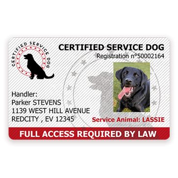 servicedog-certificationcard